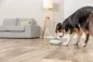 Preview: Snack-Popper