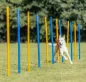 Preview: Fun Agility Slalom