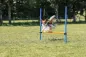 Preview: Fun Agility Hürde