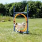 Preview: Fun Agility Ring