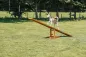 Preview: Fun Agility Wippe