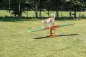 Preview: Fun Agility Wippe