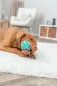 Preview: Denta Fun Spieltau mit Ball