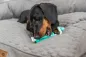 Preview: Denta Fun Stick mit Seil