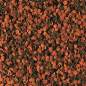 Preview: Bionautic Chips