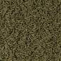 Preview: Cichlid Spirulina Medium Sticks