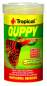 Preview: Guppy