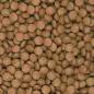 Preview: Supervit Tablets B - Hauptfutter Bodentabletten