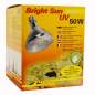 Preview: Lucky Reptile Bright Sun UV Desert