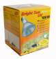 Preview: Lucky Reptile Bright Sun UV Desert