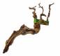 Preview: Lucky Reptile Premium Rebholz