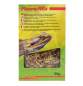 Preview: Lucky Reptile - Flower Mix
