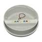 Preview: Lucky Reptile Life Light Multicolor mit Farbwechselfunktion