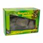 Preview: Lucky Reptile Nature`s Treasure
