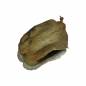 Preview: Lucky Reptile Nature`s Treasure