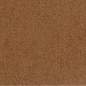 Preview: Lucky Reptile Coco Background