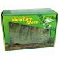 Preview: Lucky Reptile Vivarium Moss