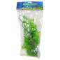 Preview: Lucky Reptile Turtle Plant