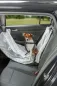 Preview: Auto-Schondecke