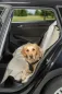 Preview: Auto-Schondecke
