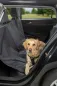 Preview: Auto-Schondecke