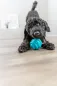 Preview: Hundespielzeug Super Strong Ball aus TPR, besonders robust