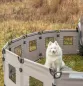 Preview: 2 Campingzäune im Set