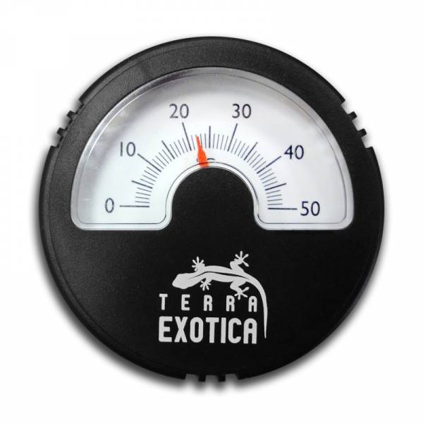 Thermometer analog