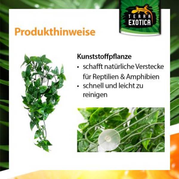 Preview: TERRARIUM PLANTS – Kunststoffplanzen