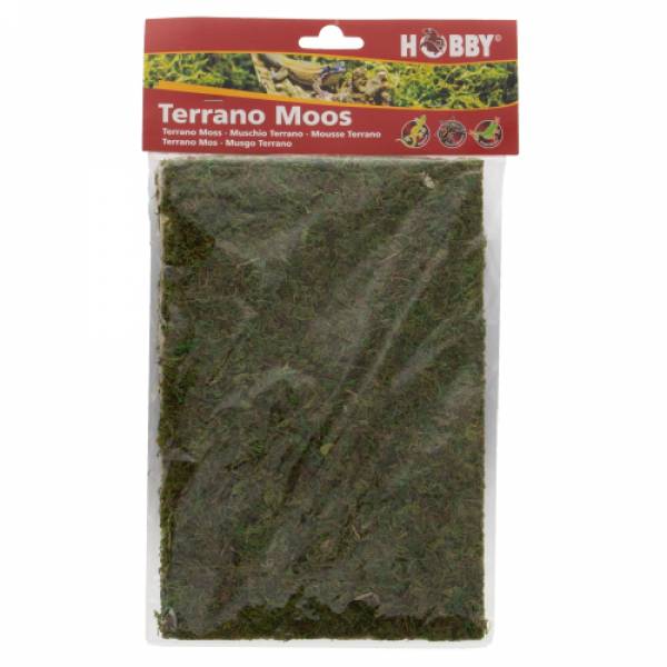Preview: Terrano Moos