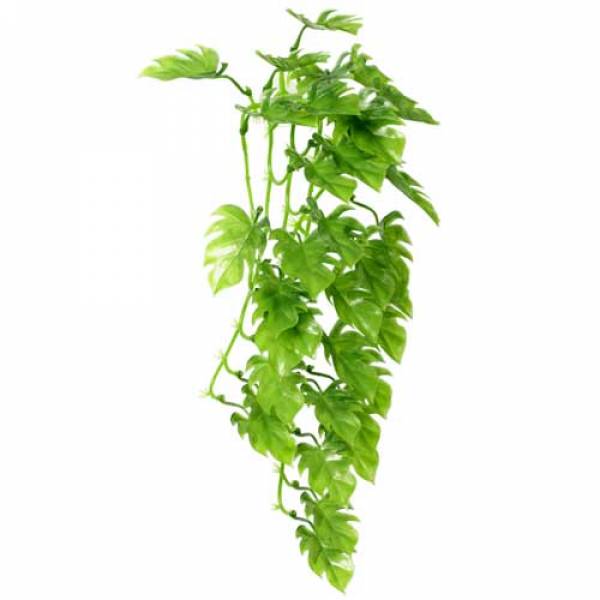 Climber Philo