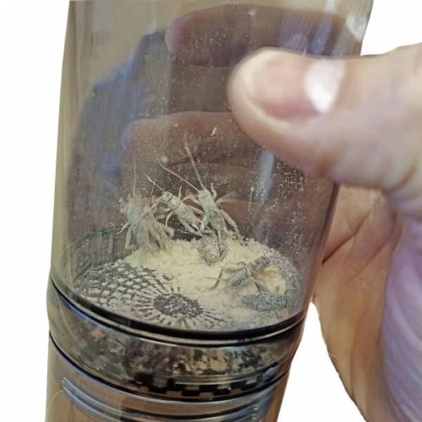 Cricket Vitamizer Bestäubungshilfe für Futterinsekten