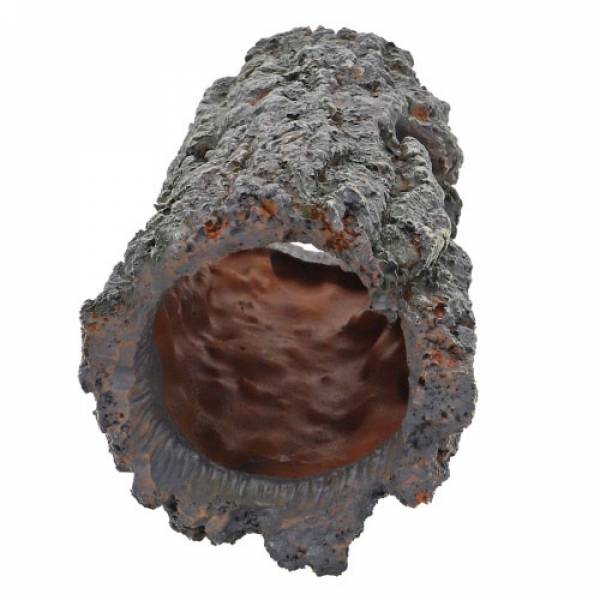 Bark Hole