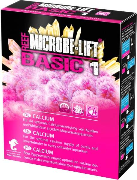 BASIC 1 - Calcium
