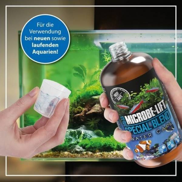 SPECIAL BLEND - Wasserpflegebakterien
