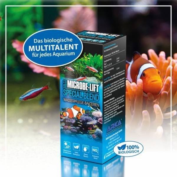 SPECIAL BLEND - Wasserpflegebakterien