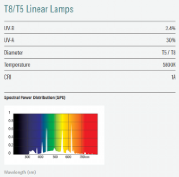 Preview: T5 Bird Lamp 2,4% UVB 14 Watt