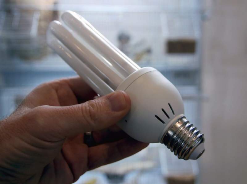 Preview: PureSun Compact Bird Lamp