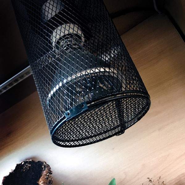 Preview: Heat Lamp Cage