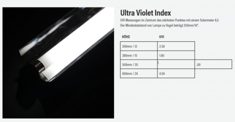 Preview: Pro T5 2,4% UVB Kit - Bird