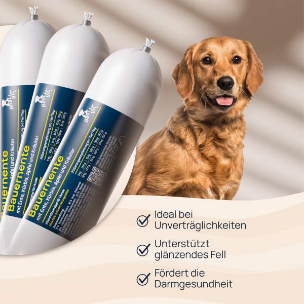 Preview: Bauernente
