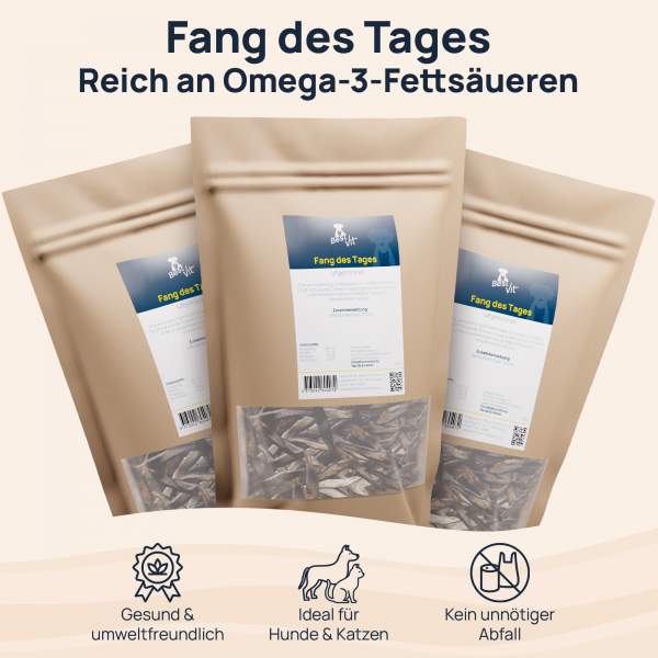 Preview: Fang des Tages