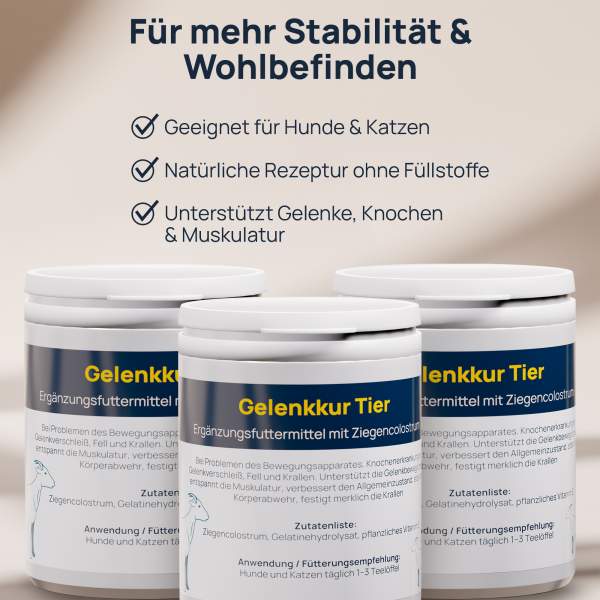 Preview: Gelenkkur