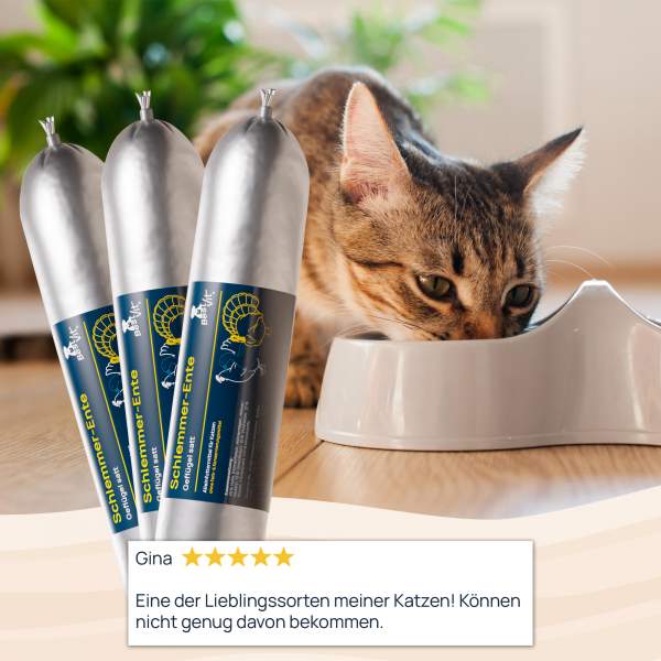 Schlemmer-Ente