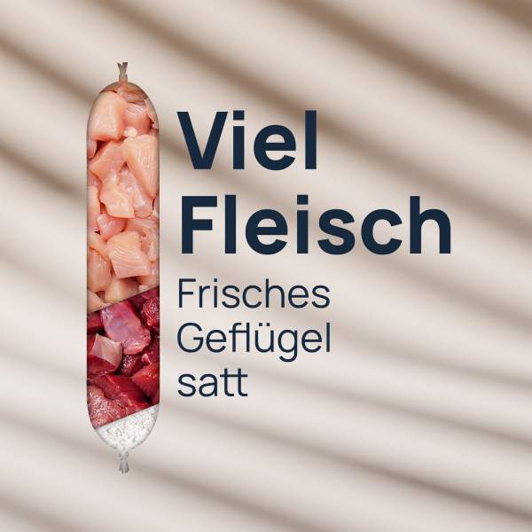 Preview: Schlemmer-Ente