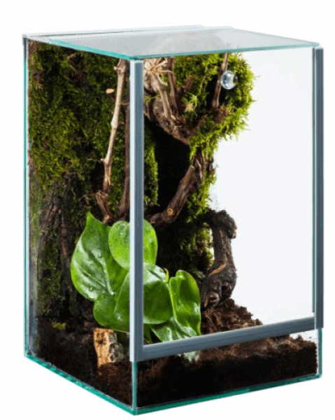 Terrarium SPIDER -alte Version-