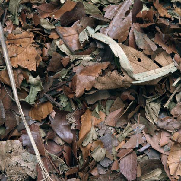 HabiStat Laubstreumulch