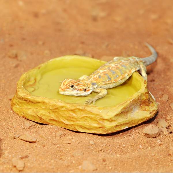 HabiStat Wasserschale aus Sandstein