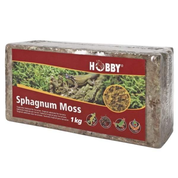 Preview: Sphagnum Moss