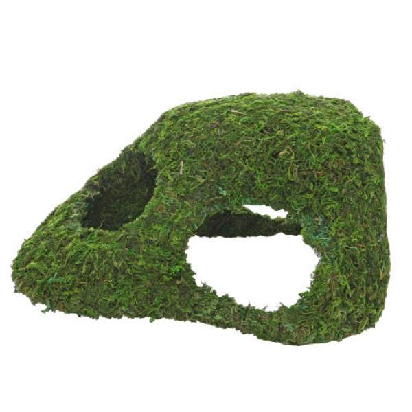 Preview: Jungle Cave